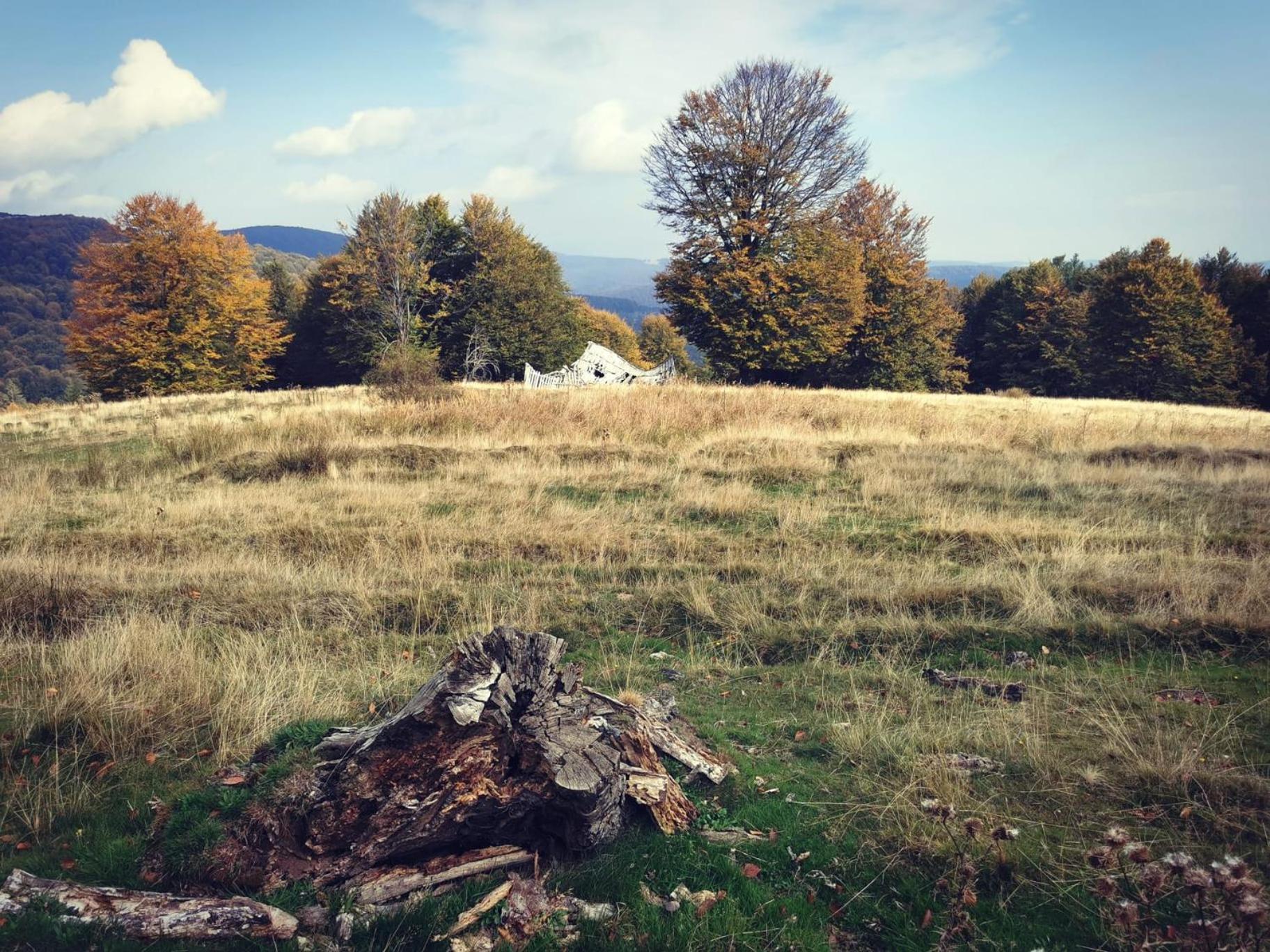 Mehadica House Villa Kültér fotó